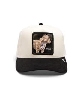 Gorra Goorin Bros Pit Bull Terrier americano