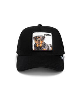 Thumb a06834 trexbhow